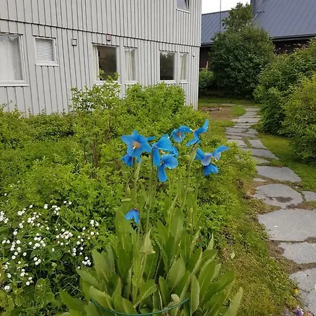 Aurora Studio